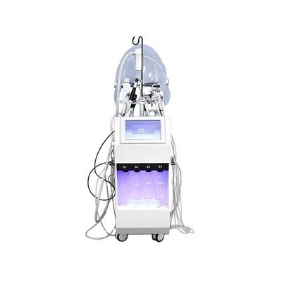 좋은 가격 10 1대의 다 기능 아름다움 장비 히드라 산소 제트기 껍질 얼굴 배려 기계에 대하여 온라인