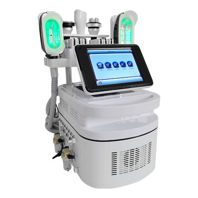Goede prijs Draagbare van het huiscryolipolysis van de cryolipolysis vette vorst liposuctionmachine Online