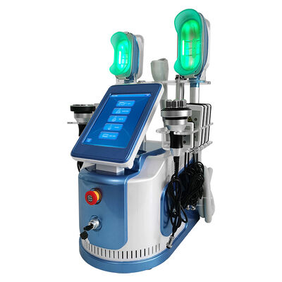 Bon prix 650nm - 550nm Cryolipolysis amincissant la machine pour la formation de corps/peau Tigtening En ligne