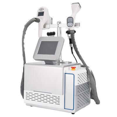 Harga yang bagus Mesin Slimming Tubuh Penghilang Sellulit Portable Cryolipolysis Vacuum Rf 3IN1 On line
