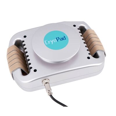 Buon prezzo Uso domestico dimagramento 220v/110v di Mini Cryolipolysis Machine In linea