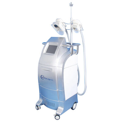 Good price Vacuum Cryolipolysis / Cool Body Sculpting Membrane / Criolipolisis Cellulite Reduction Machine online