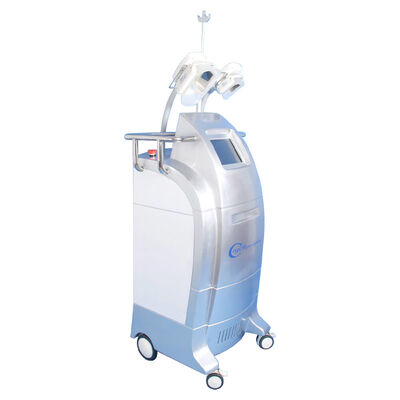 良い値段 3 つのサイズのハンドルの cryolipolysis の涼しく細いボディ彫刻装置/criolipolisys 機械 オンライン