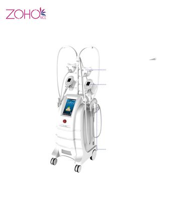 良い値段 機械脂肪質の凍結の脂肪吸引術80kpaを細くする減量Cryolipolysis オンライン