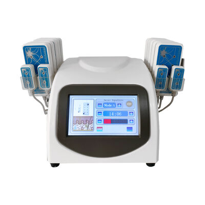 Guter Preis Tragbarer 650nm Lipo Laser-Maschine Ultrashape-Körper, der Gewichtsverlust abnimmt Online