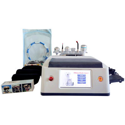 Bon prix Fonction multifonctionnelle blanche d'utilisation de la diode 980nm de machine portative animale de laser En ligne