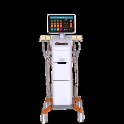 좋은 가격 2mhz 단극 고주파 기계 체중 감소 셀룰라이트 제거 Trushape 코드 온라인