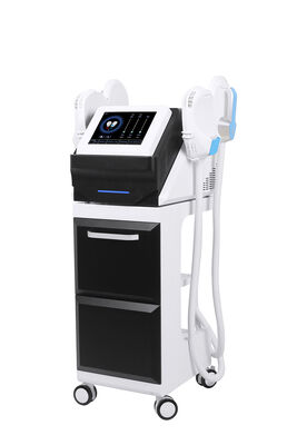 좋은 가격 가지고 다닐 수 있는 지방 손실량 Ems 하와이 Emt 기계 300w 3000w 근육은 기기를 조각합니다 온라인