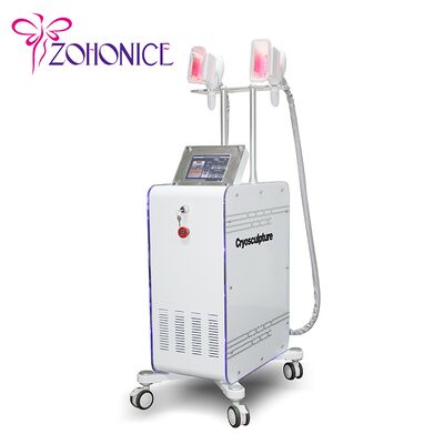 Dobra cena. 2 Zmienna maszyna odchylająca Cryolipolysis Handle z membraną przeciwzamarzaniową W Internecie