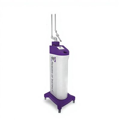 Good price RF Pigment Removal Fractional Co2 Laser Equipment Vaginal Tightening online