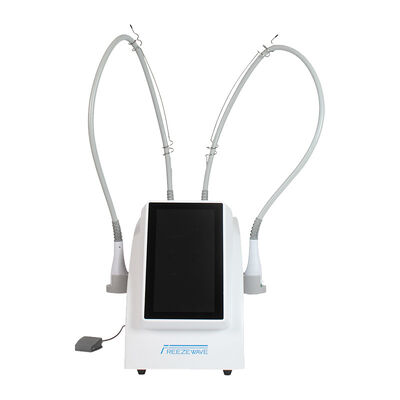 Bon prix 15.6 pouces Cryo Fat Reduction élimination de la cellulite Freezewave 2.45GHz machine de contourage du corps à micro-ondes En ligne