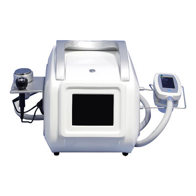 ราคาดี การกําจัดคางคู่ 3 ใน 1 เครื่องลดน้ําหนักด้วย RF 360 Cryolipolysis ออนไลน์