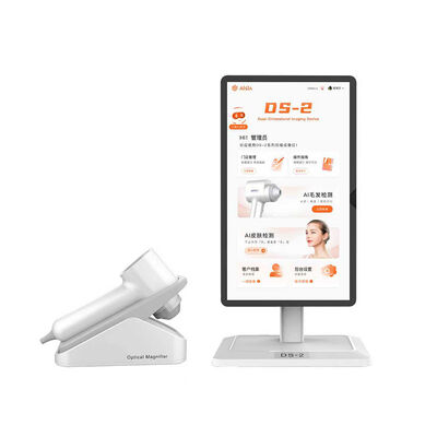 Guter Preis 15.6 Zoll Touchscreen 2 Sonden 5 Sprachen Kopfhaut und Gesichtshaut Analyse-Maschine Online