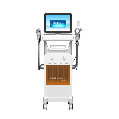 좋은 가격 12in1 Hydrodermabrasion 스킨 케어 RF 산소 얼굴 플라즈마 산소 스프레이 미세 박피술 장비 온라인