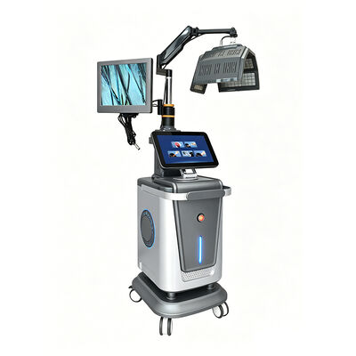 Good price 650nm LLLT Therapy Hair Growth Machine 12.1 Inches Touch Screen Scalp Care online